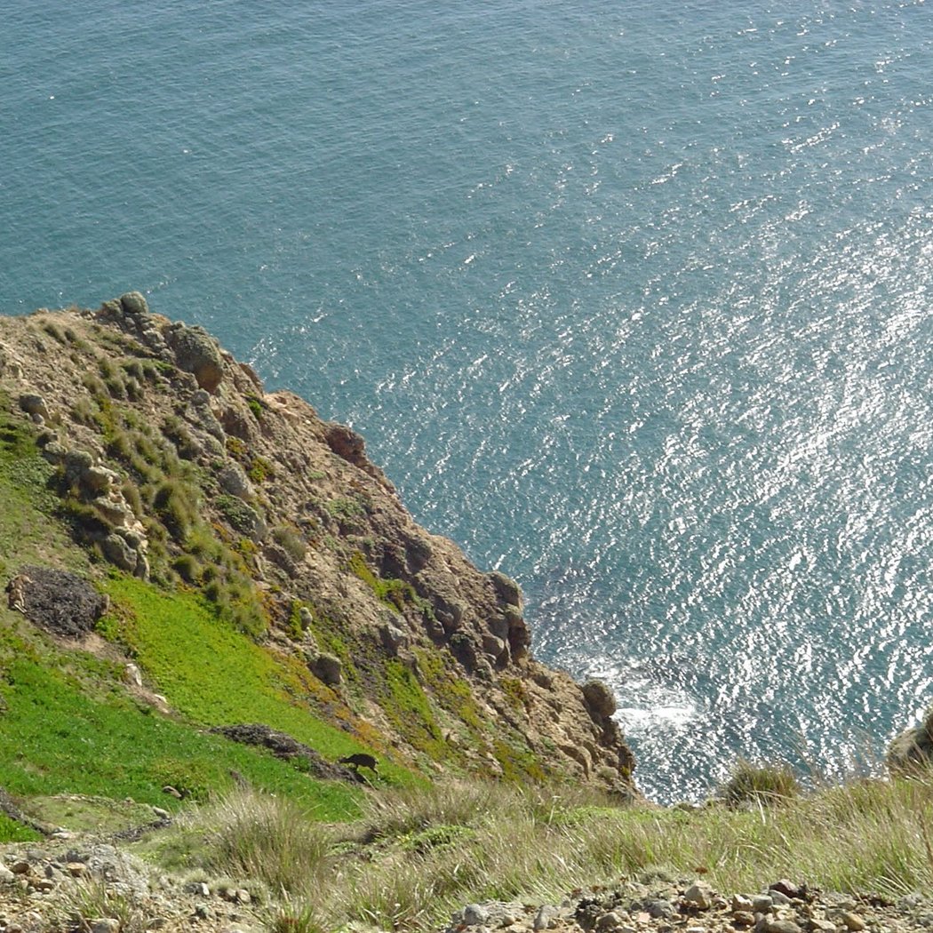 Mount Vision 2
