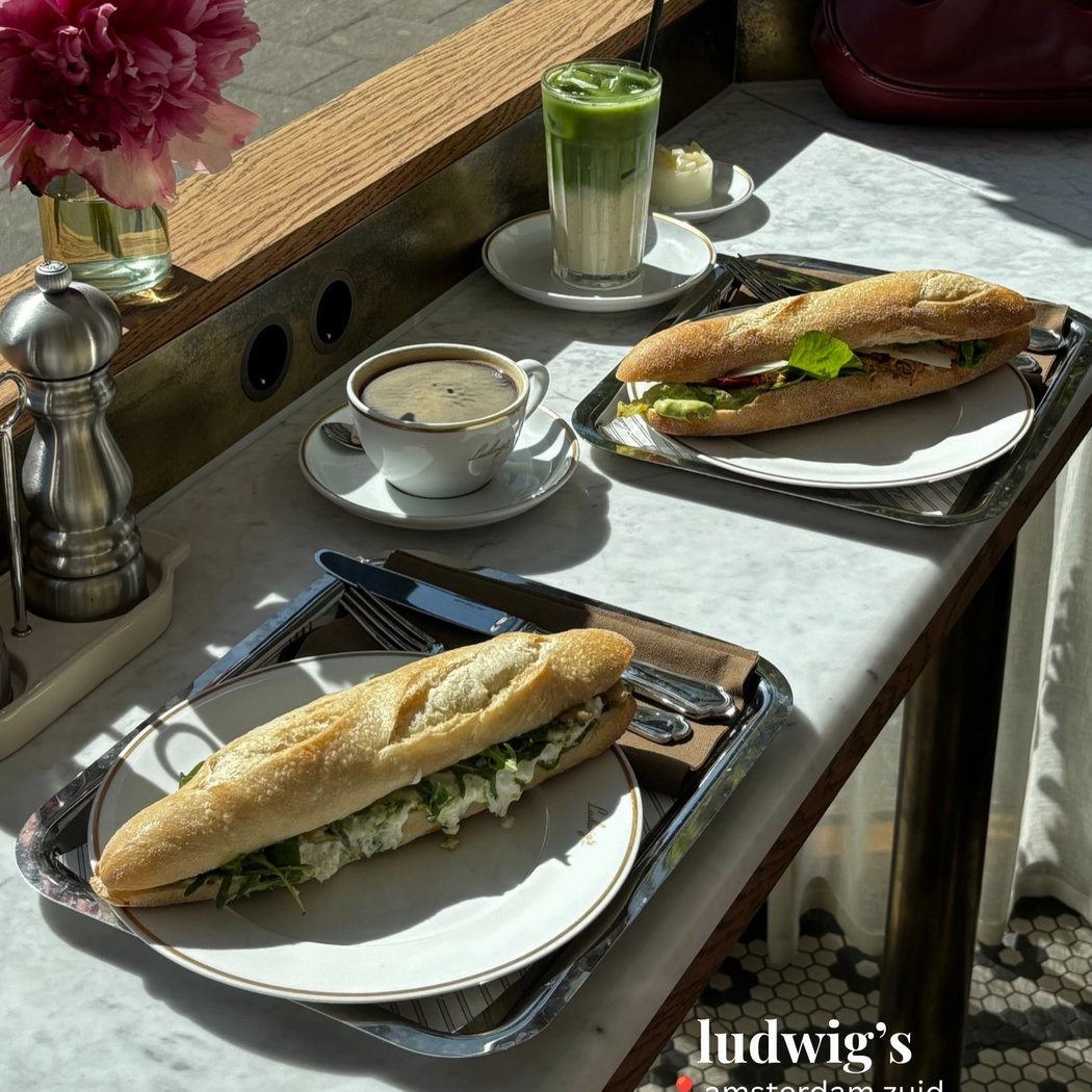 Ludwig's