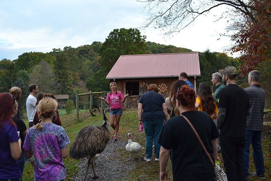 Hope Haven Farm Sanctuary 1
