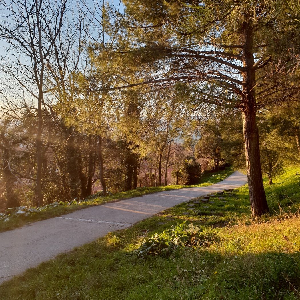 Parc de Font Obscure 1