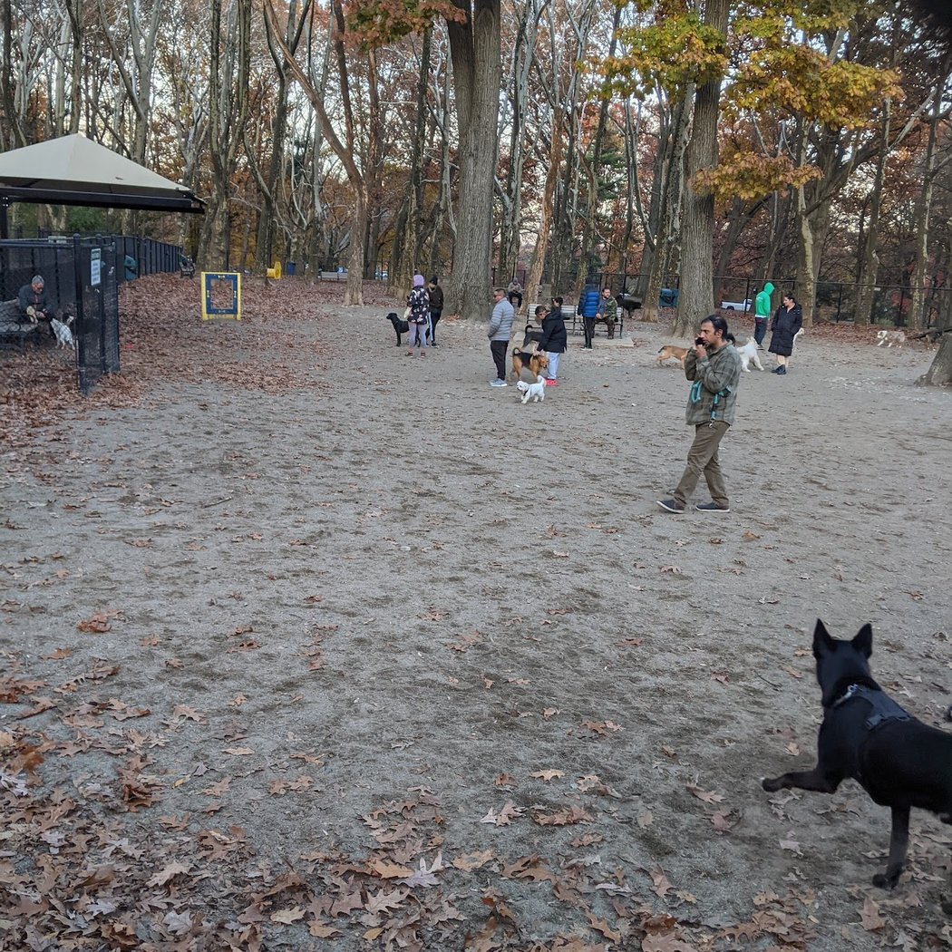 Brookdale Dog Park 3