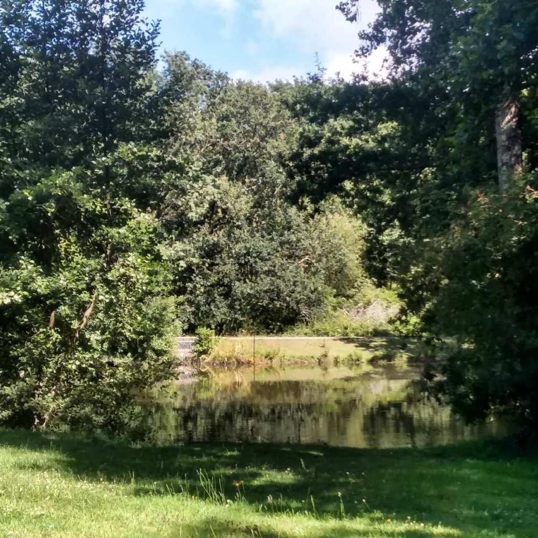Les jardins d'Océanis 1