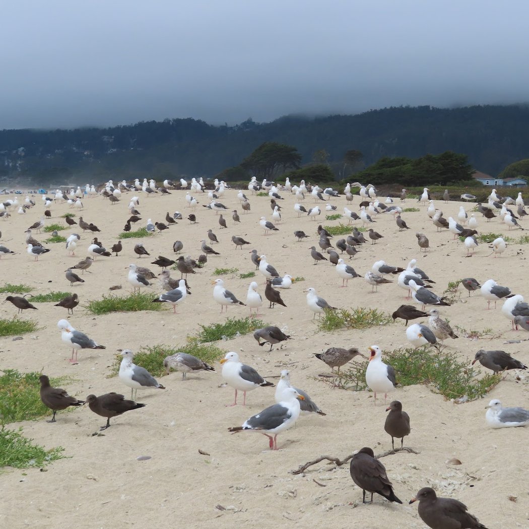 Elmar Beach 2