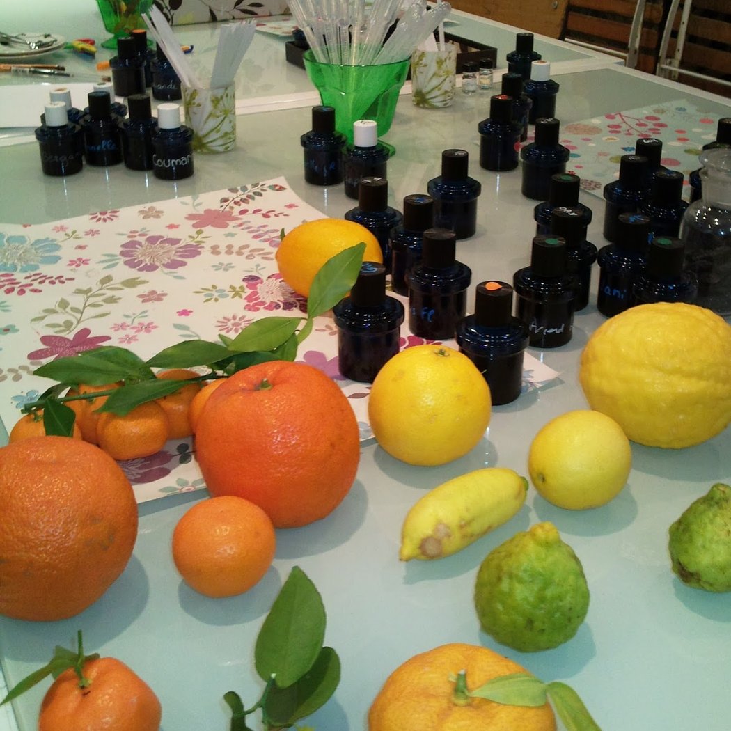 Le Parfum En Herbe 1