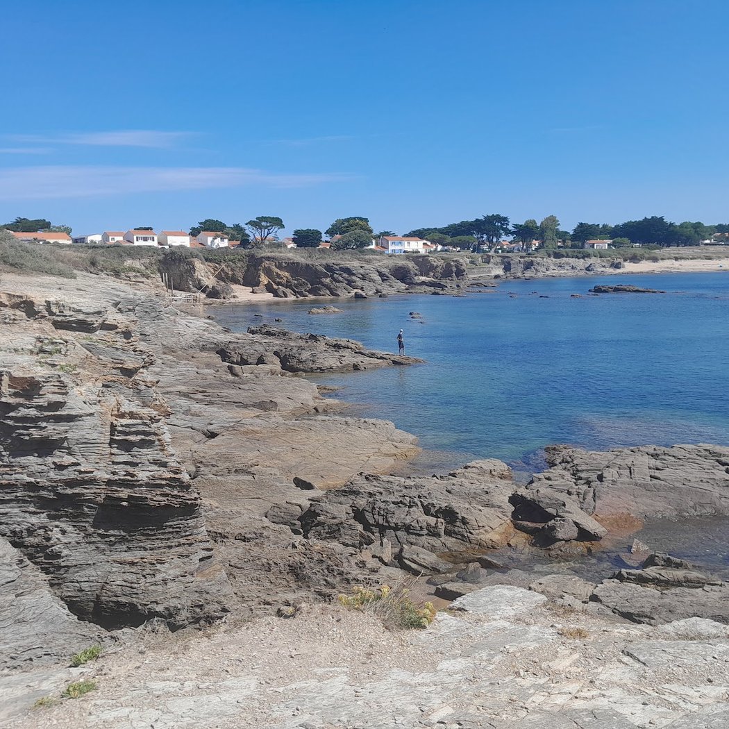 Découverte de l'algue sur le littoral préfaillais 2