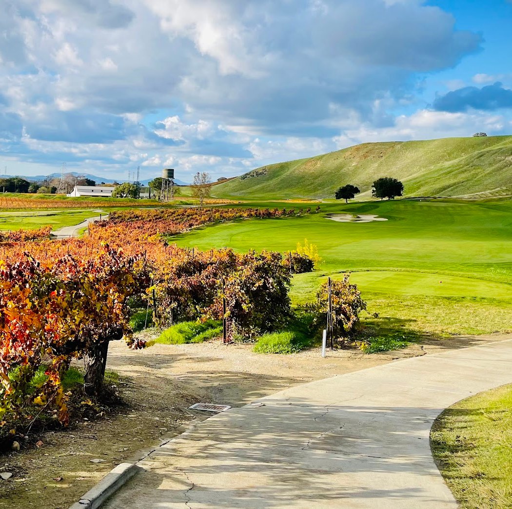 Wente Family Vineyards Tasting Lounge 3