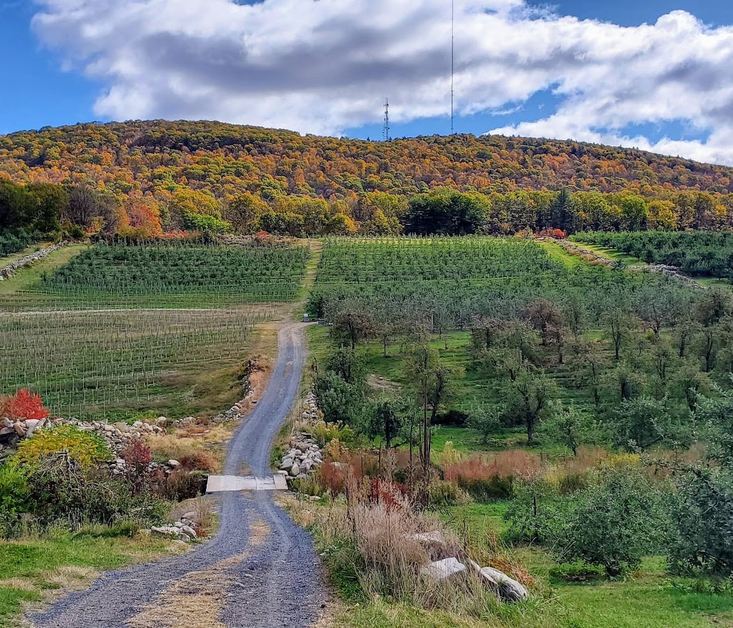Wilklow Orchards 3