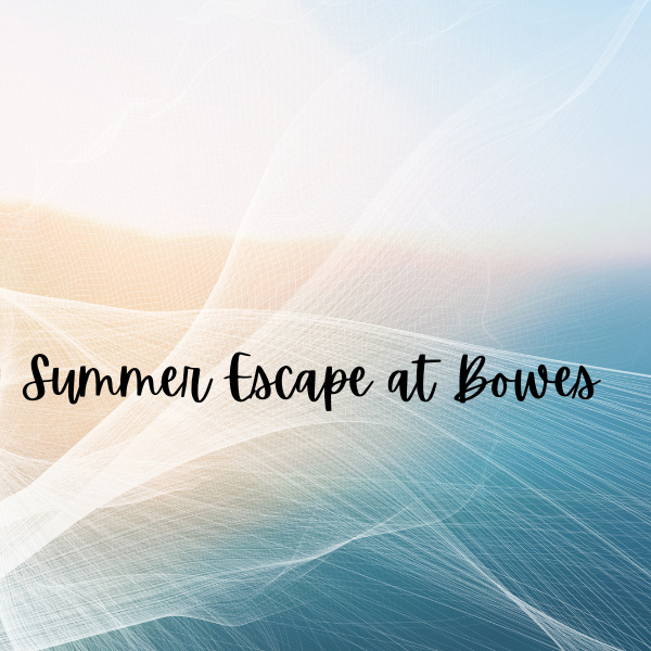 Summer Escape at Bowes Library