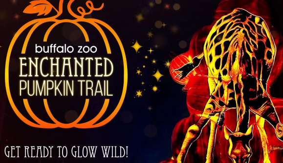 Enchanted Pumpkin Trail 3