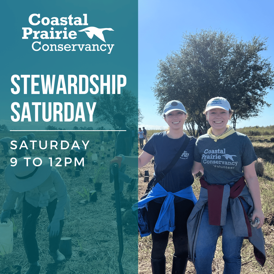 Stewardship Saturday 1