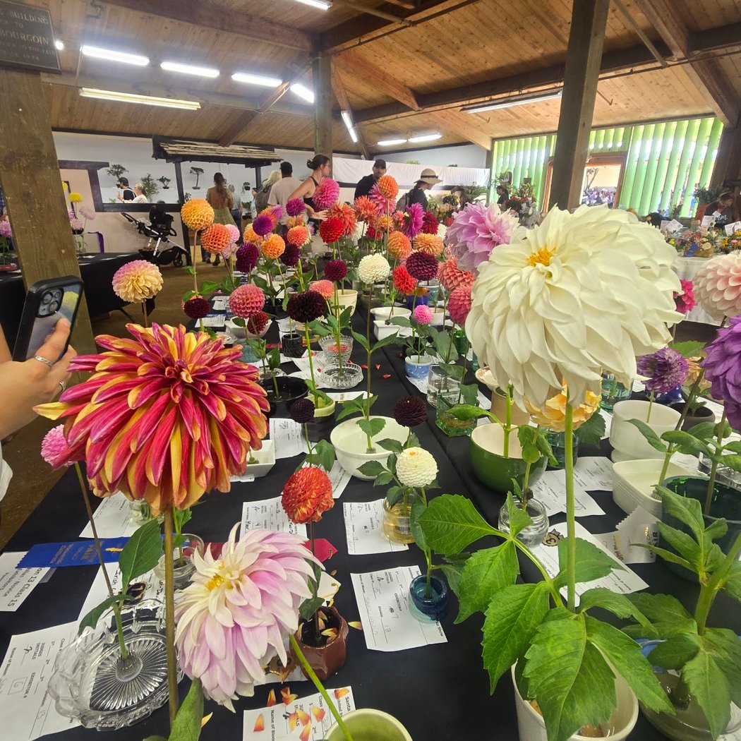Santa Cruz County Fairgrounds 4