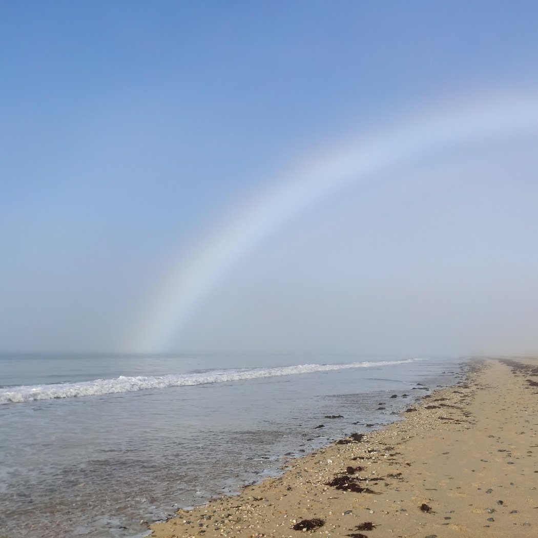 Plage de Bréville-sur-mer 1