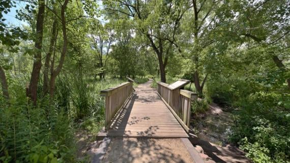 Early Bird Walks at NPV 3