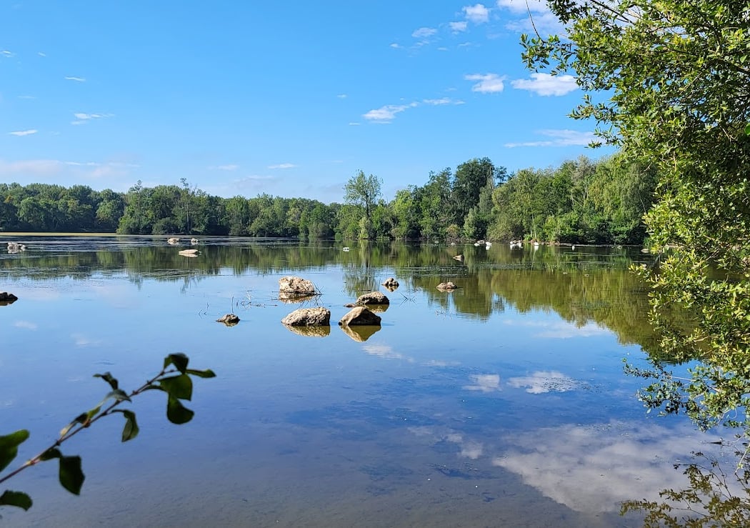Randonnée "Les étangs de Grez sur Loing et les bords du Loing" 2