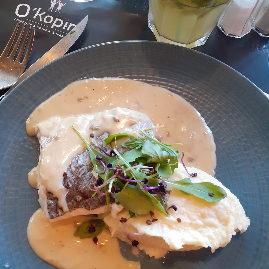 O'KOPIN 1