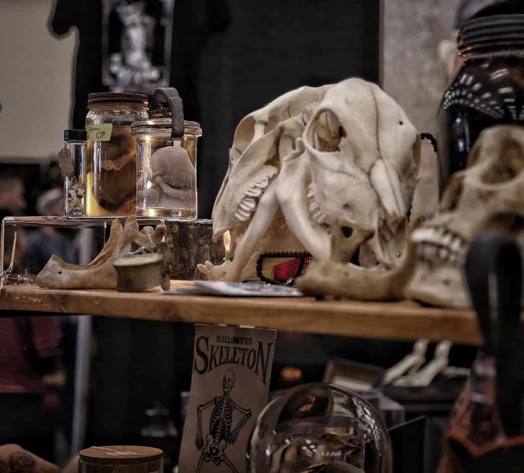 World Oddities Expo 3