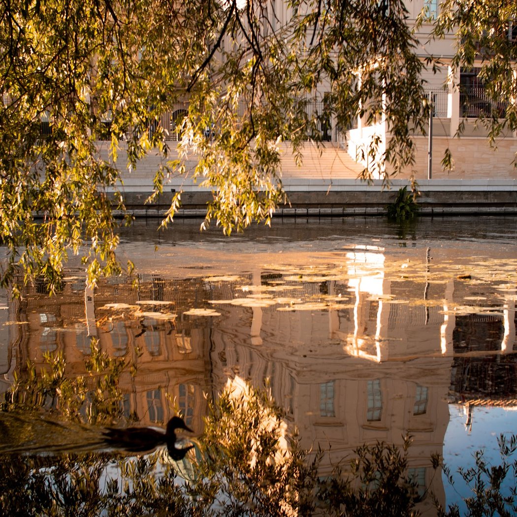 Stadtspaziergang durch Potsdam 2