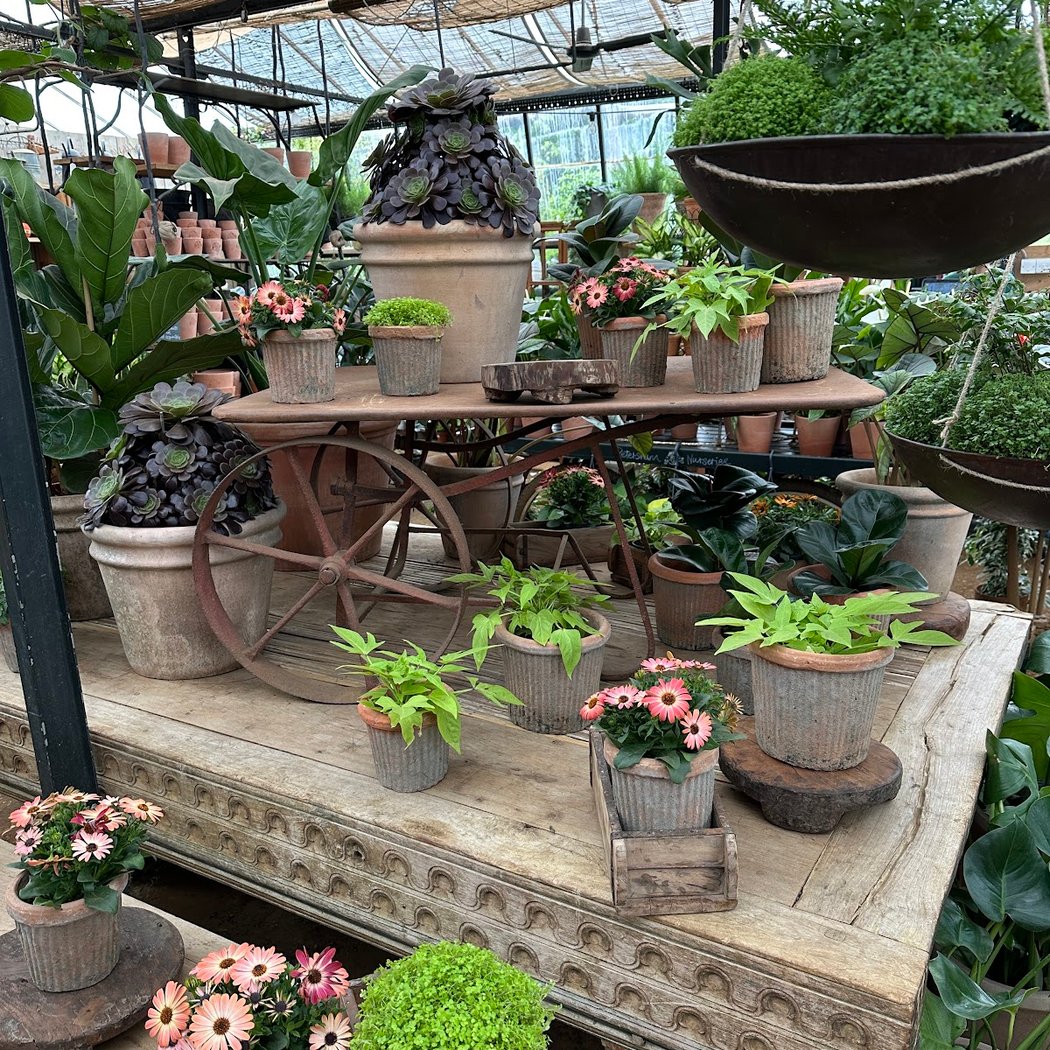 Petersham Nurseries 1
