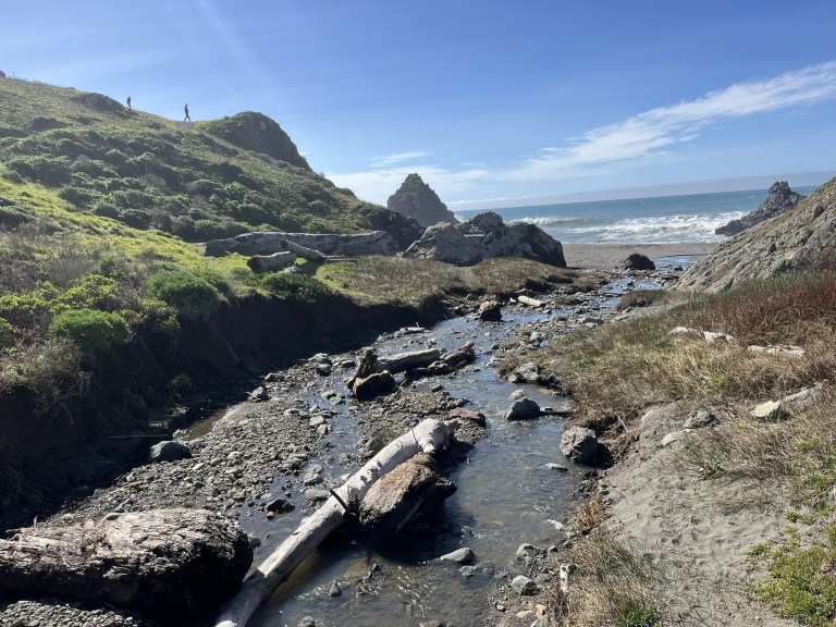 Shell Beach 3