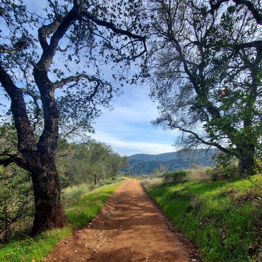 Chamise Trail 1