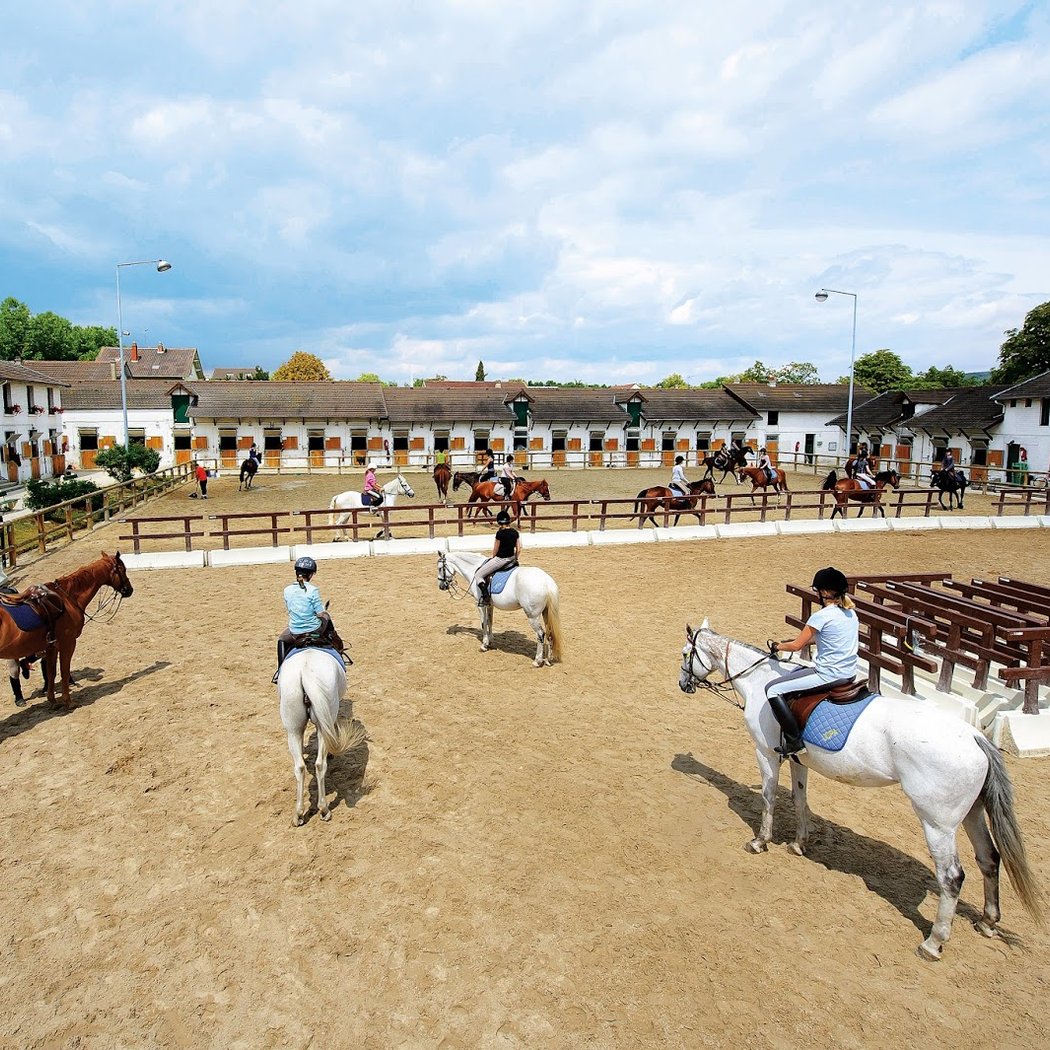 Equestrian Center De Maisons Laffitte 1