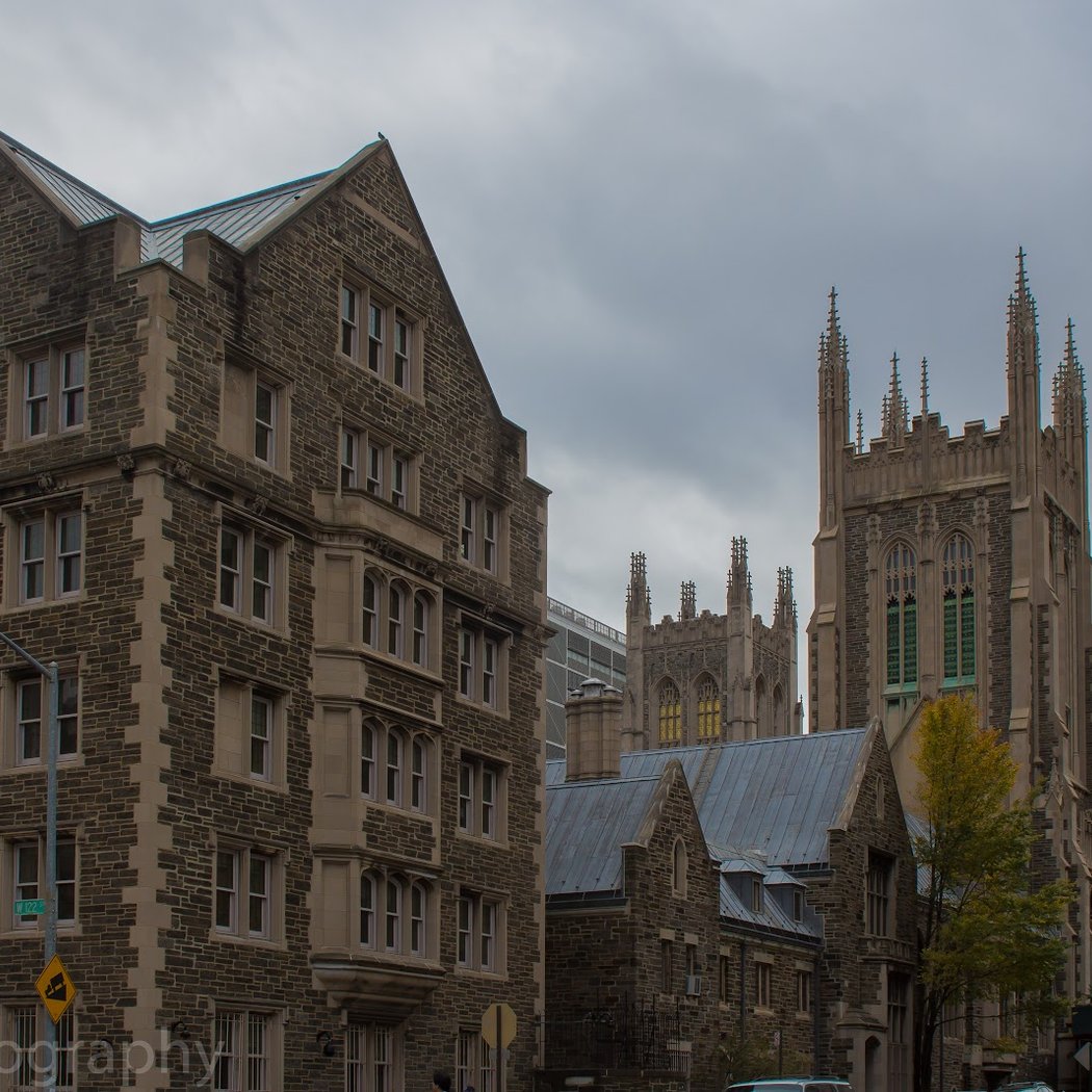 Manhattanville 2