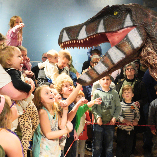 DinoFEST 1