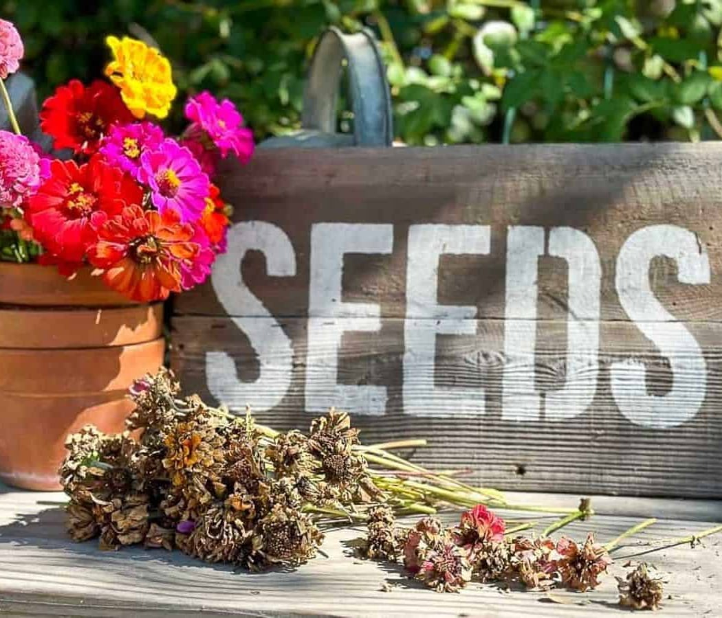 Fall Seed Swap 3