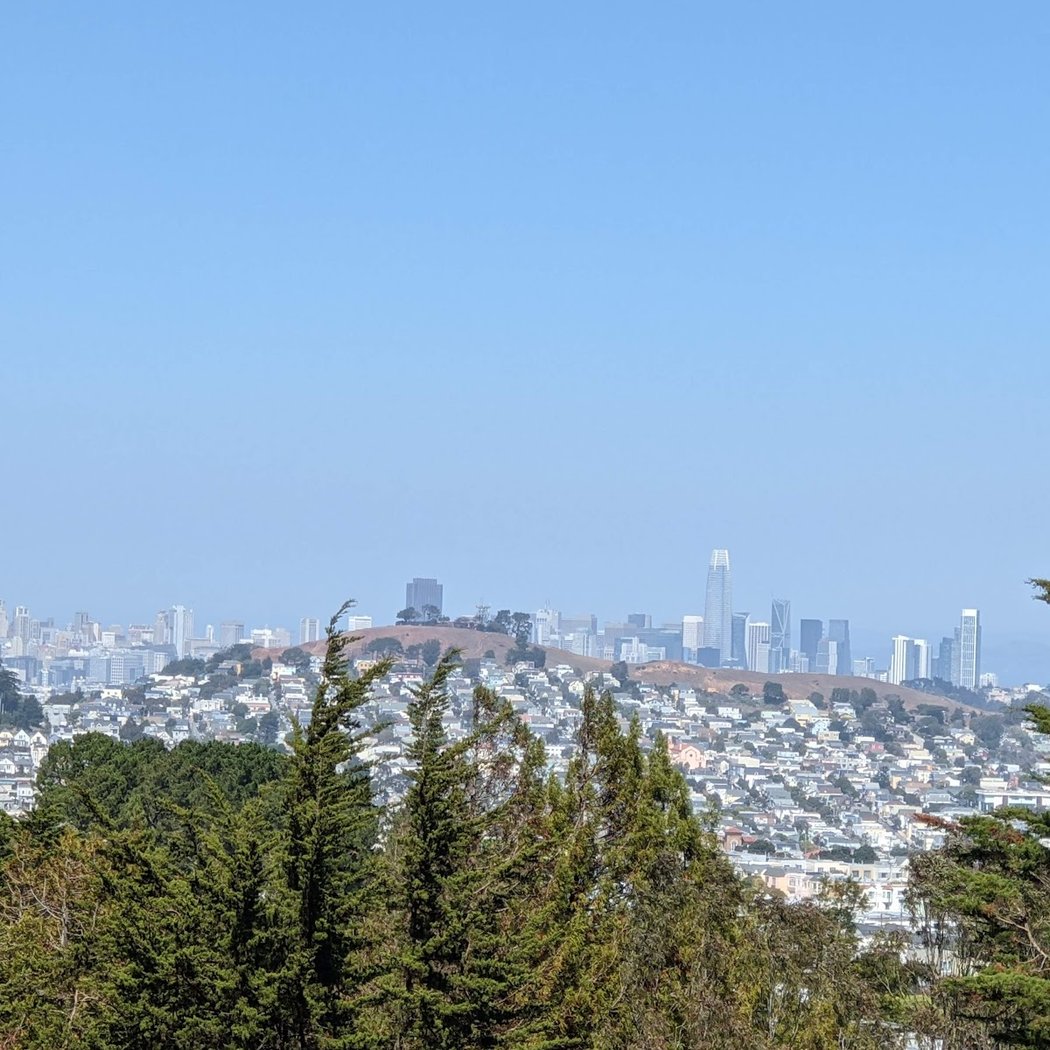McLaren Park Dog Play Area 2 3