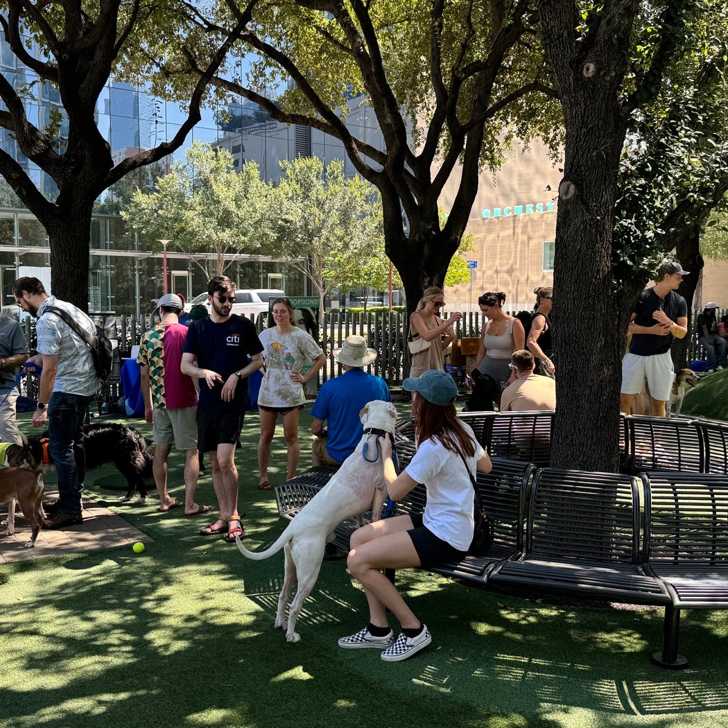Bark in the Park 2