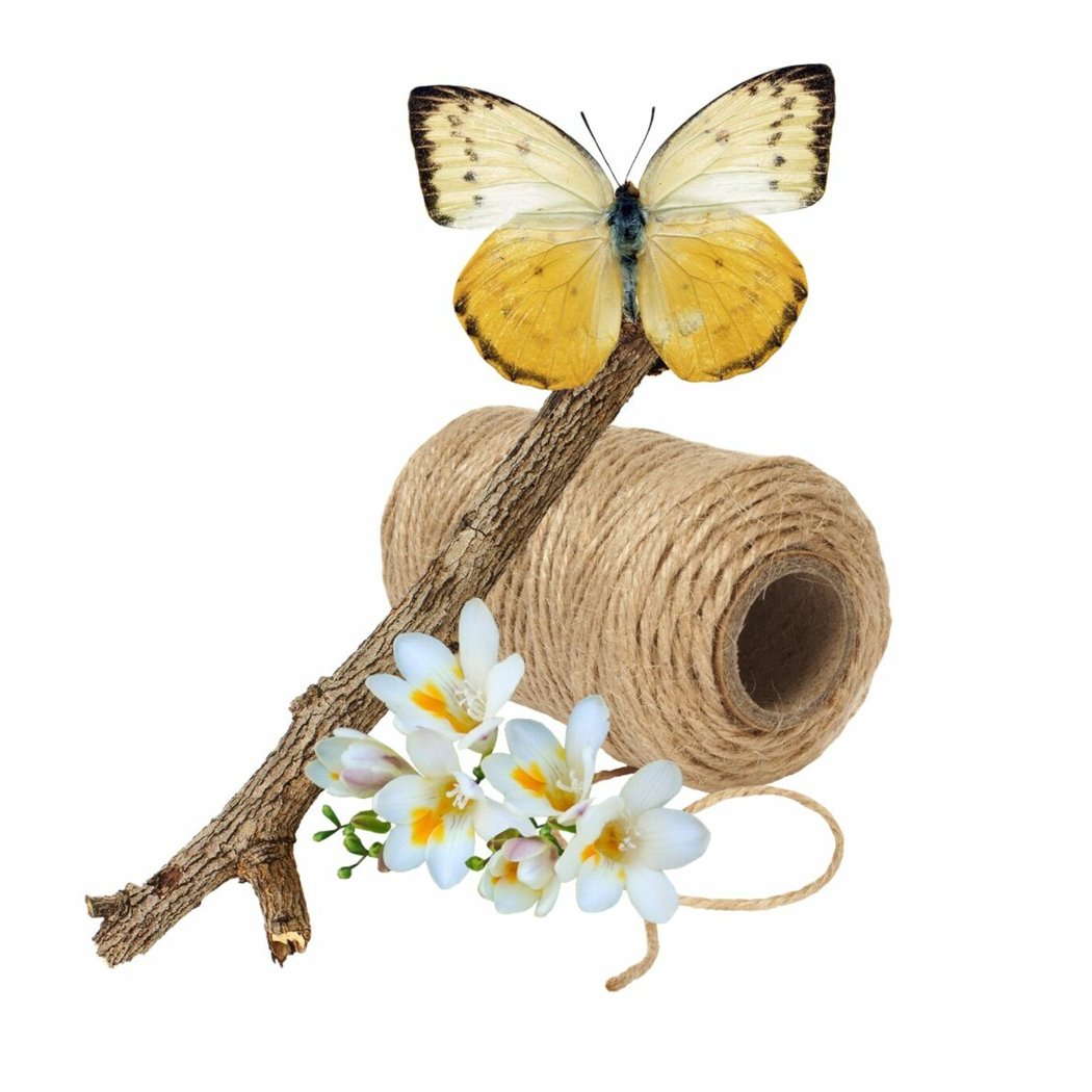 Pollinator Tower Project 1