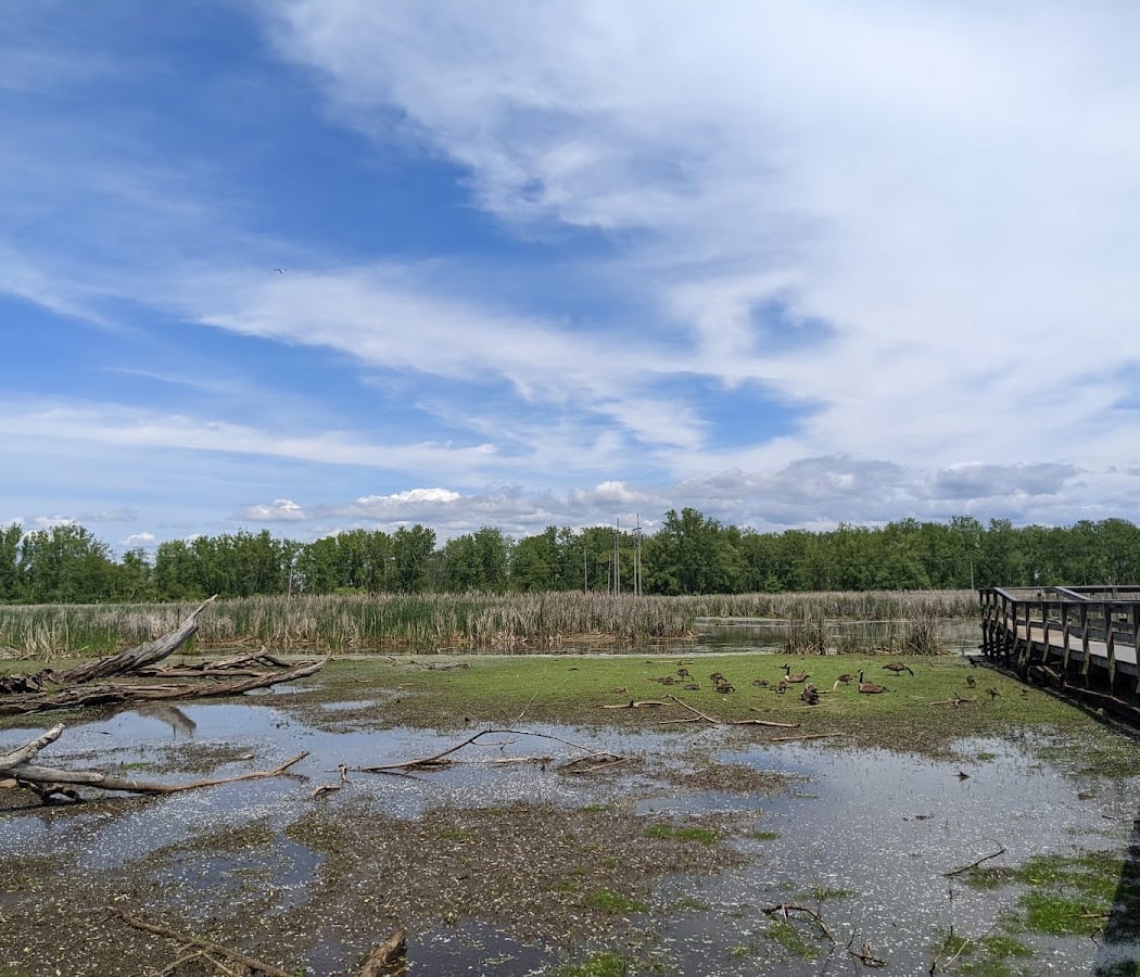 Wellness Walks 5