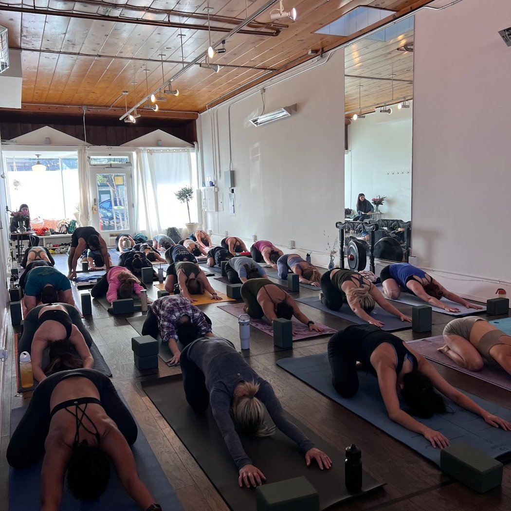 The Yoga Shala SF - Balboa St 2