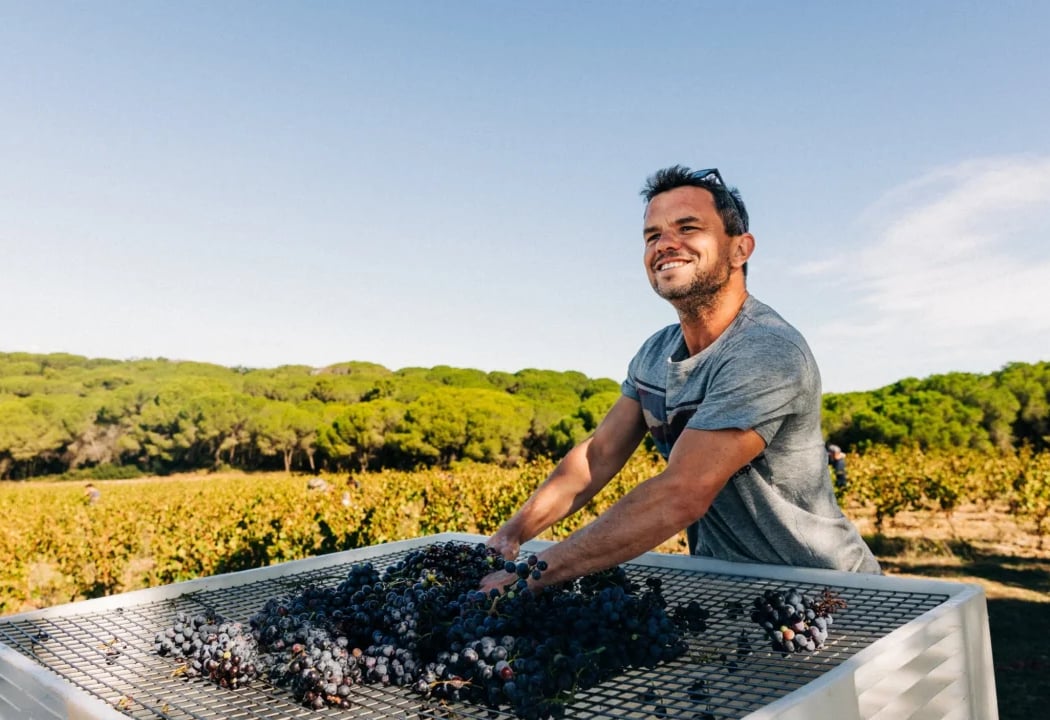 Dégustation des vins d'Edouard Sentex 1