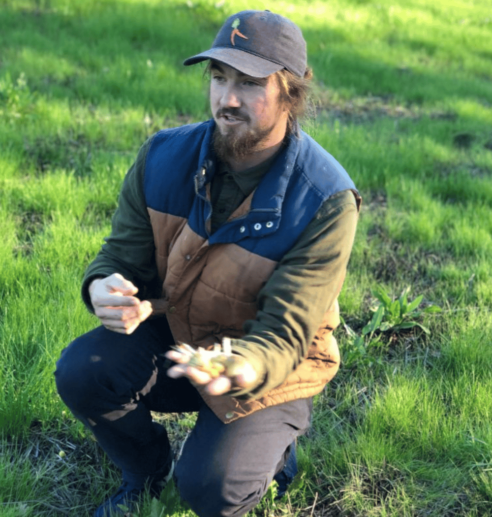 Mushrooms of Sonoma County 1