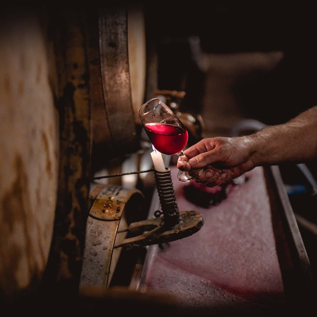 Clos des Vignes du Maynes 1