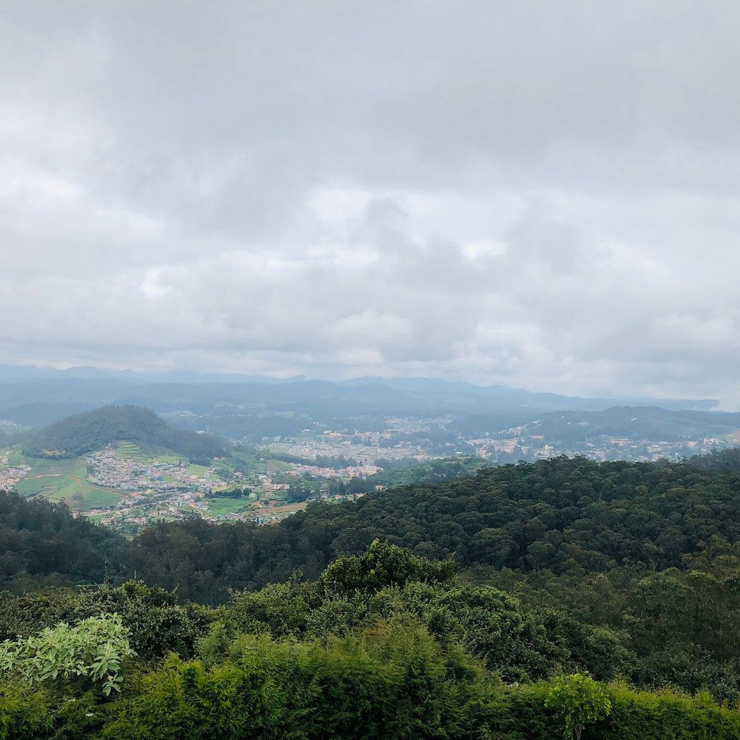 Doddabetta Peak 2