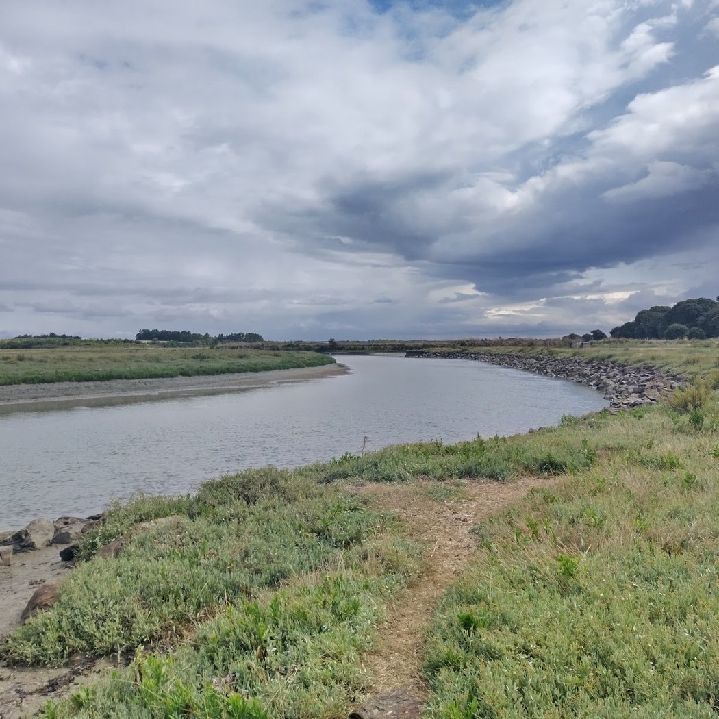 Estuaire du Payré en Vendée 3