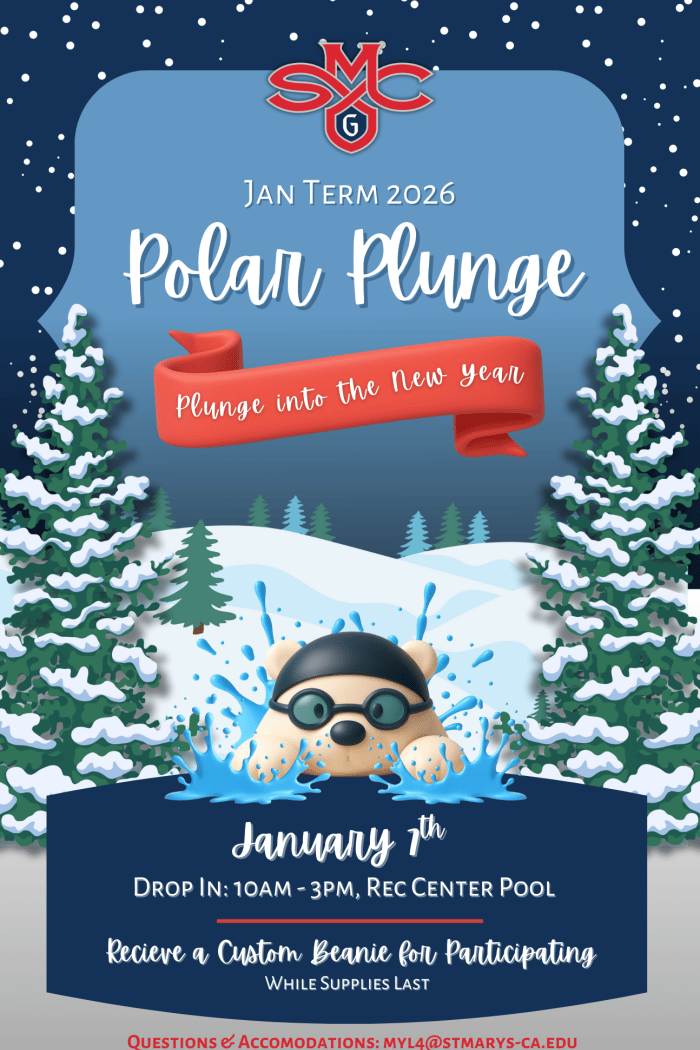 Polar Plunge 1