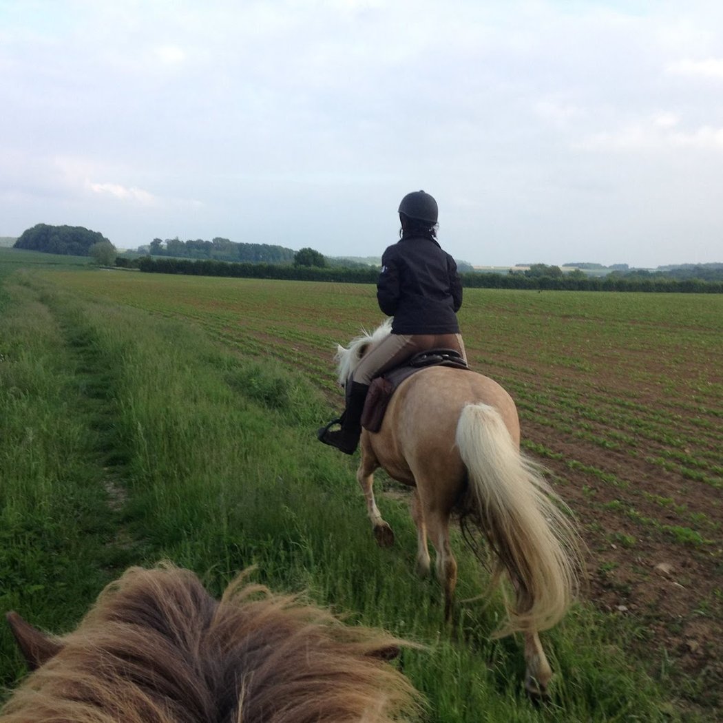 Epona Club Nature Saint-Germain-en-Laye 1