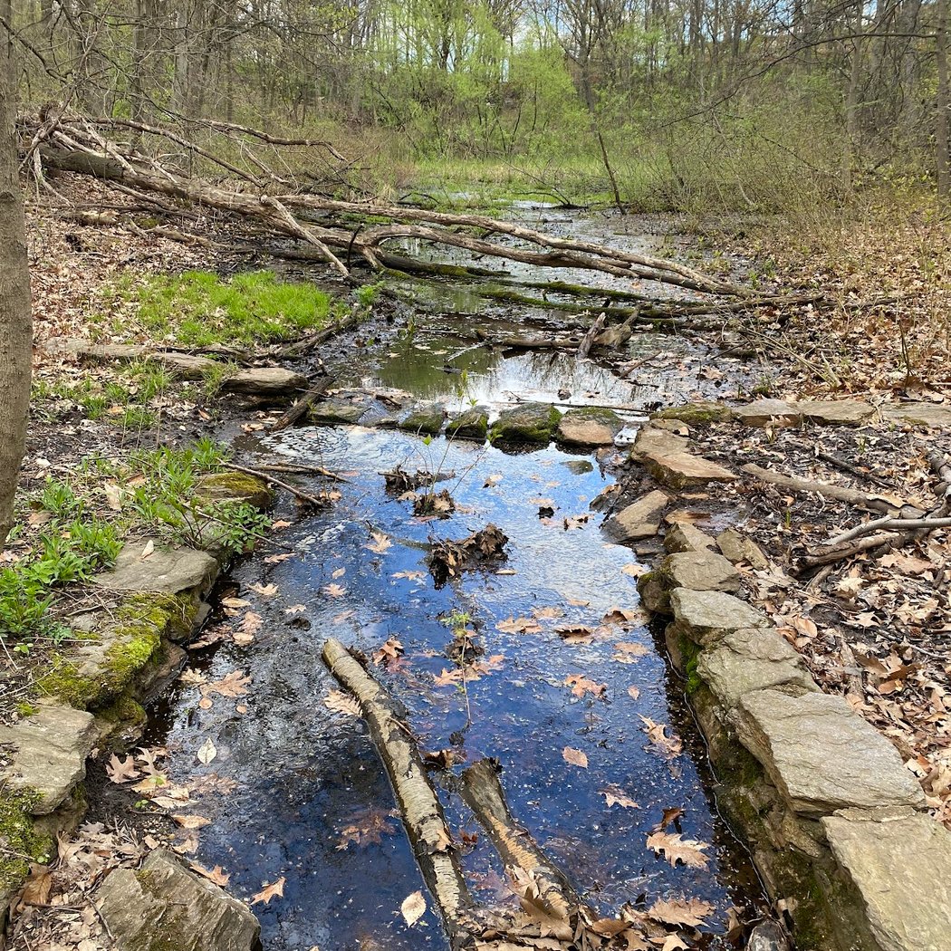 Seton Falls Park 3