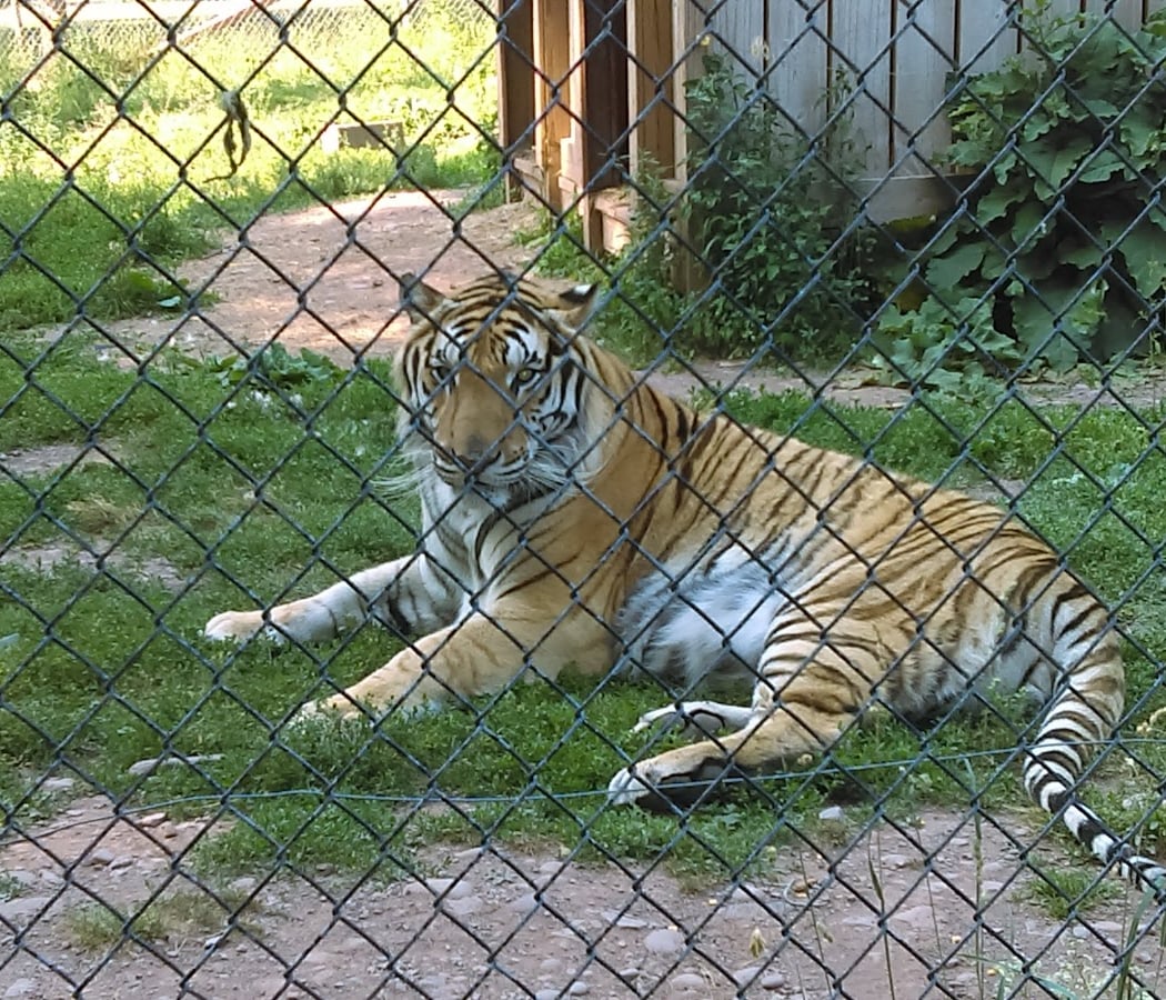 Bailiwick Animal Park and Riding Stables 2