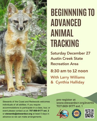 Beginning to Advanced Animal Tracking 1