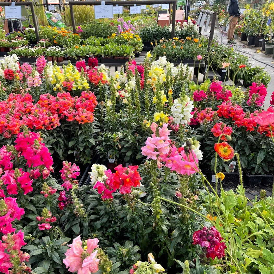 SummerWinds Nursery 1