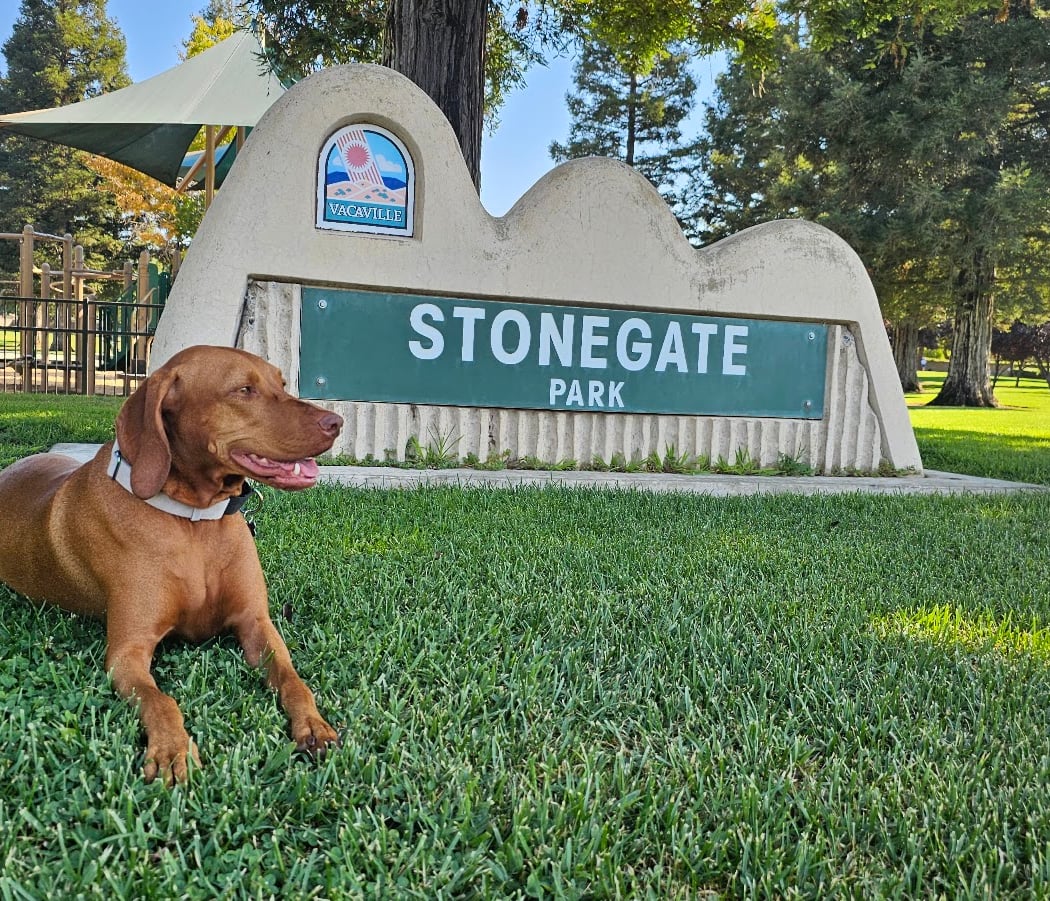 Stonegate Park 3