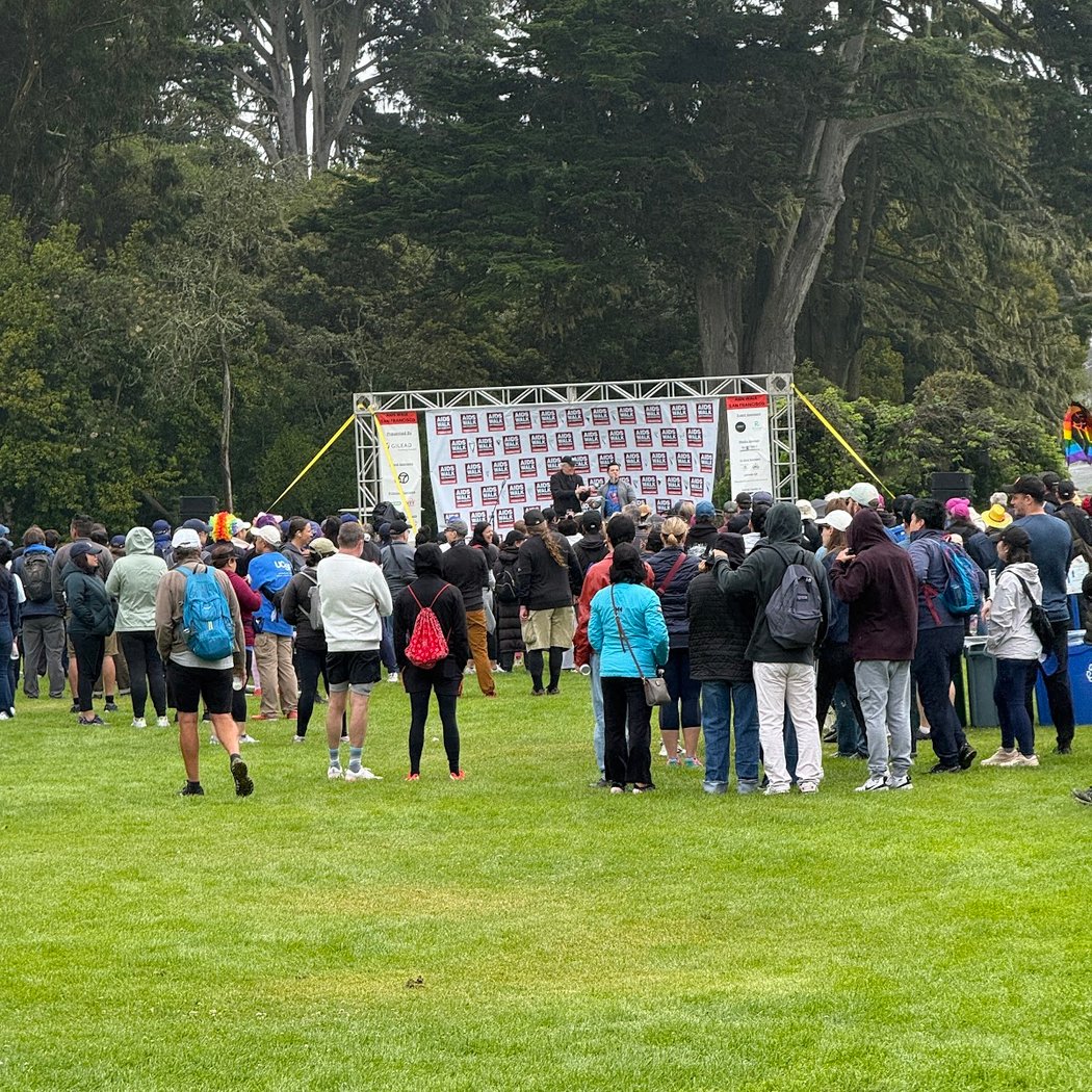 Robin Williams Meadow 3