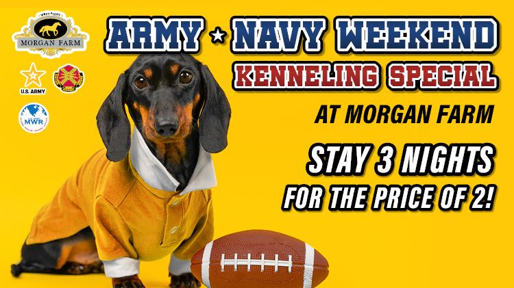 Army Navy Weekend Kenneling Special 1