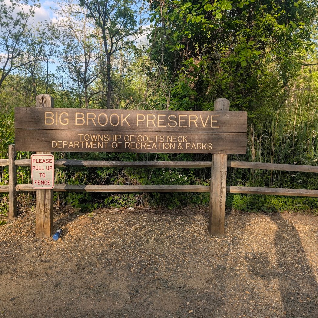 Big Brook Preserve 2