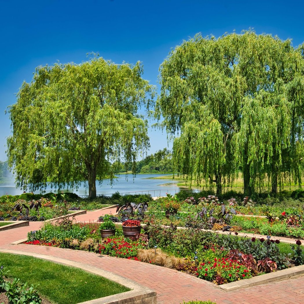 America Grows - 250 Years of Garden Stories: Join a Walking Tour