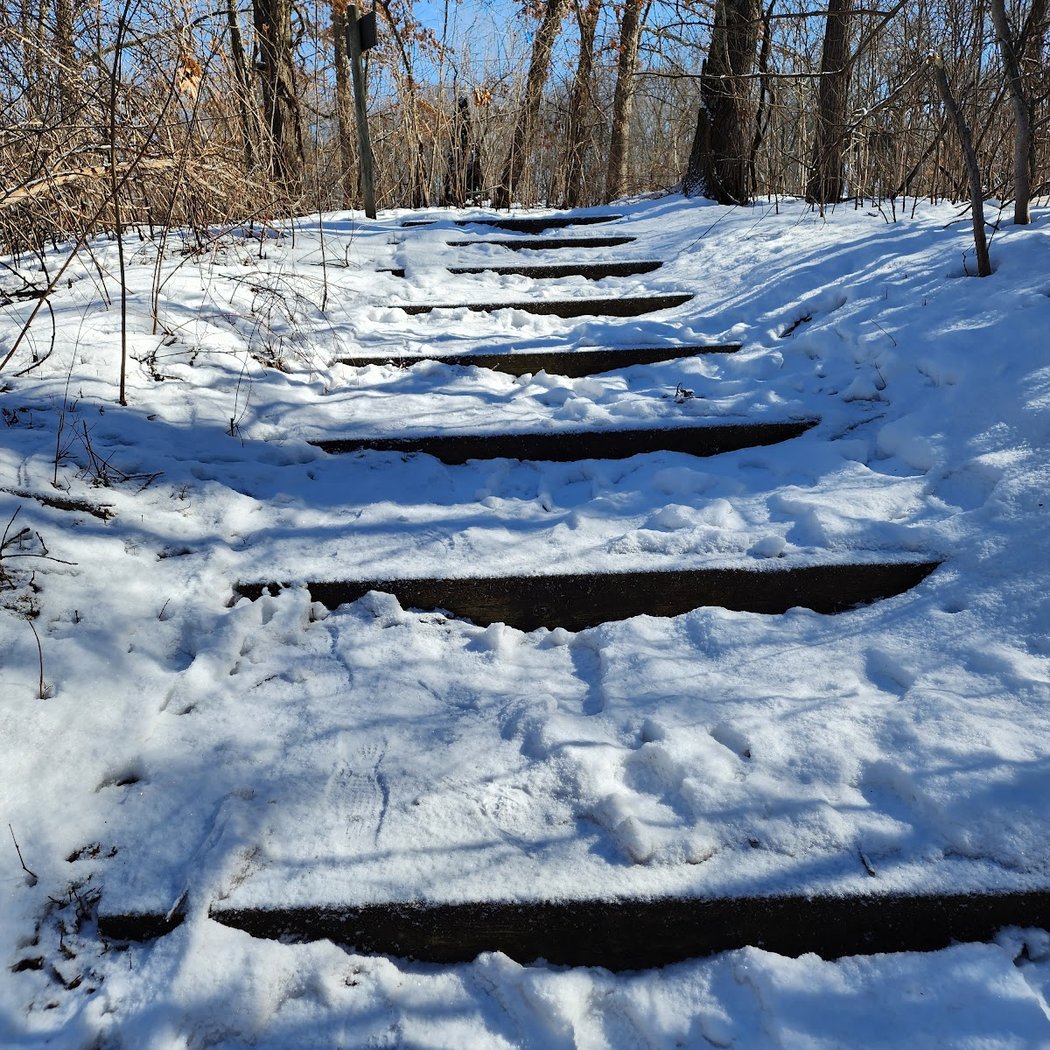 Winter Orienteering 4